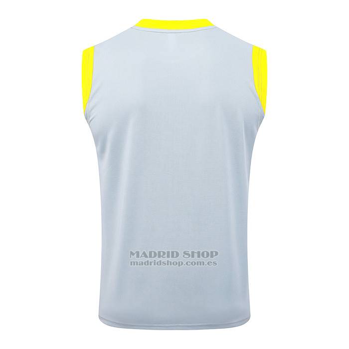 Camiseta de Entrenamiento Borussia Dortmund Sin Mangas 2025-2026 Gris